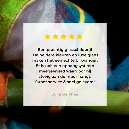 Peinture sur verre - Grenouille - Animaux - Vert - Oranje - Rouge - Photo sur verre - Peinture sur verre - 180x120 cm - Décoration murale