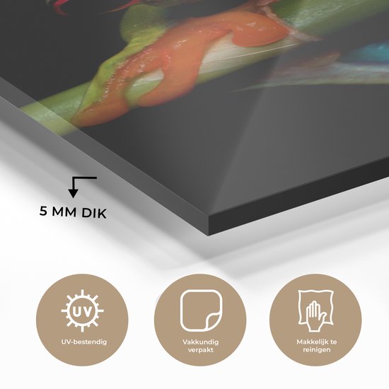 Peinture sur verre - Grenouille - Animaux - Vert - Oranje - Rouge - Photo sur verre - Peinture sur verre - 100x150 cm - Décoration murale