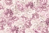 Fotobehang - Vlies Behang - Roze Vintage Pioenrozen - Bloemen - 520 x 318 cm