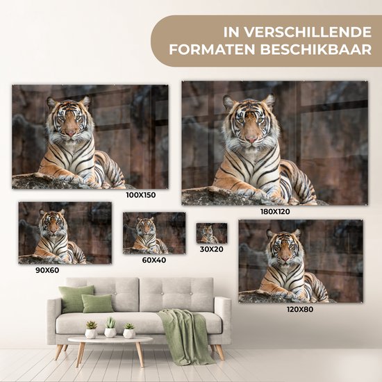 MuchoWow® Peinture sur verre - Tigre - Rocher - Montagnes - 180x120 cm - Peintures sur verre acrylique - Photo sur Glas
