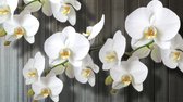 Flowers  Photo Wallcovering
