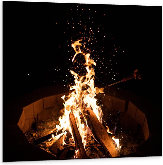 Dibond - Vuur - Kampvuur - Hout - Hand - Marshmallow - Eten - 100x100 cm Foto op Aluminium (Met Ophangsysteem)