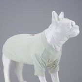 Lindo Dogs - Chemise pour chien - Vêtements pour chiens - T-shirt pour chiens - Mon gâteau aux raisins secs - Vert - Taille 6