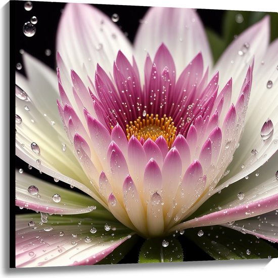 Canvas - Waterdruppels Vallend op Wit met Roze Lelie - 100x100 cm Foto op Canvas Schilderij (Wanddecoratie op Canvas)