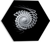 PVC Schuimplaat Hexagon - Zwart - Wit - Lijnen - Vorm - Rondje - 30x26.1 cm Foto op Hexagon (Met Ophangsysteem)
