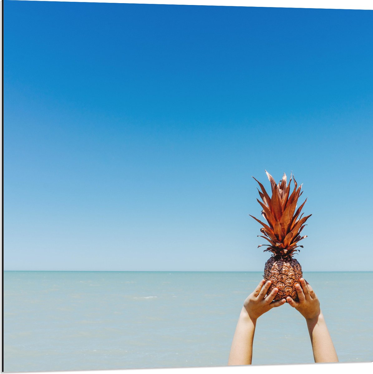 Dibond - Ananas in Handen bij het Water - 80x80 cm Foto op Aluminium (Met Ophangsysteem)
