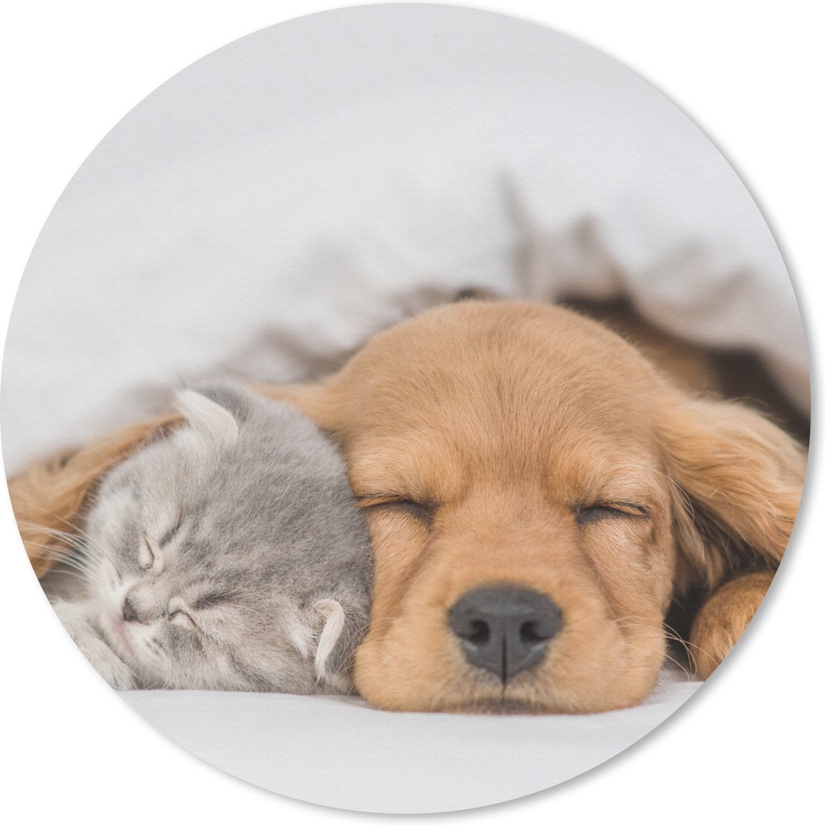 Muismat rond 40x40 cm - Mousepad huisdieren - hond - Kat - Deken - Ronde muismatten