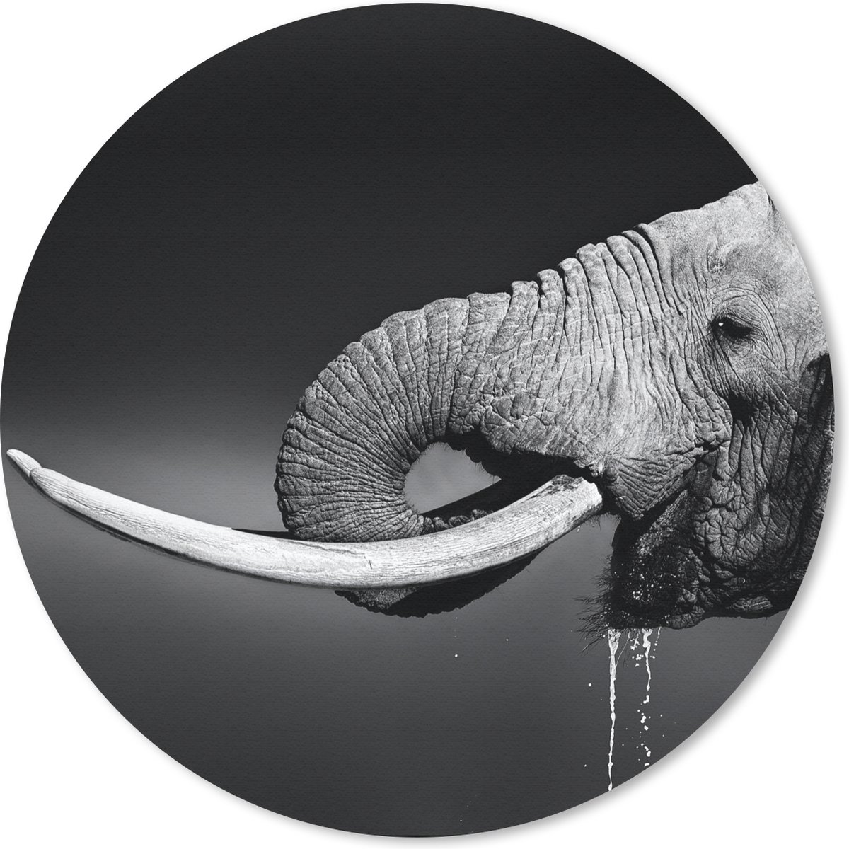 Muismat rond 40x40 cm - Mousepad Olifant - Water - Dieren - Zwart - Wit - Ronde muismatten