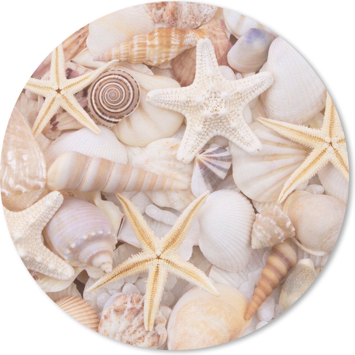 Muismat rond 20x20 cm - Mousepad Zeesterren - Schelpen - Strand - Zomer - Ronde muismatten