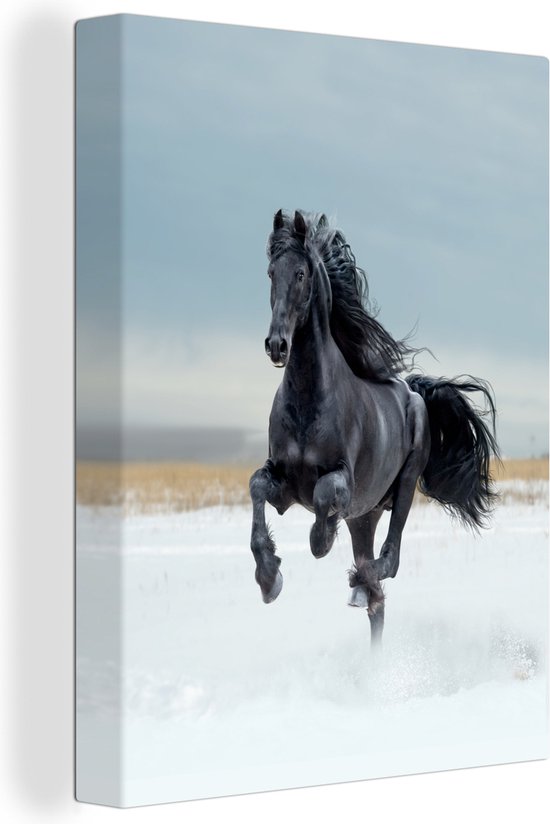 Canvas Schilderij Paard - Zwart - Sneeuw - 30x40 cm - Wanddecoratie