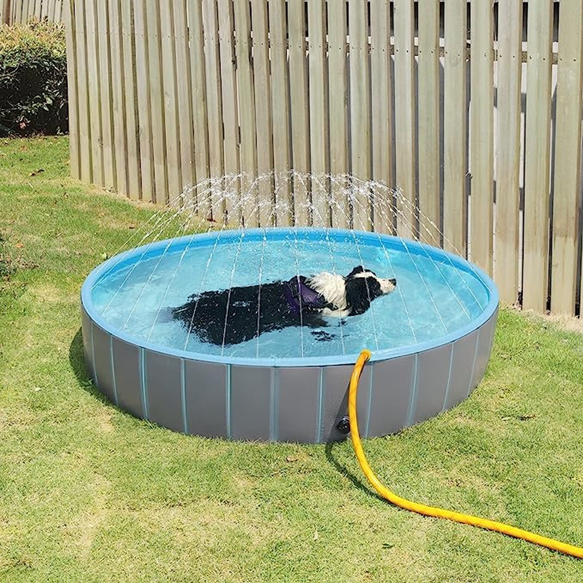 Chien Piscine Pataugeoire pour animaux de compagnie Grande baignoire  pliable pour chien