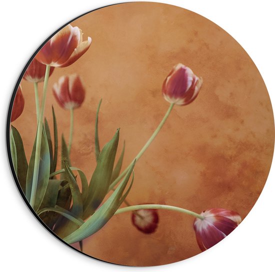 Dibond Muurcirkel - Geel - Rode Tulpen in Vaas tegen Bruin Gevlekte Muur - 20x20 cm Foto op Aluminium Muurcirkel (met ophangsysteem)