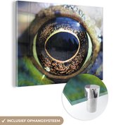 MuchoWow® Peinture sur verre 160x120 cm - Peinture sur verre acrylique - Grenouille - Oeil - Photo sur verre - Peintures