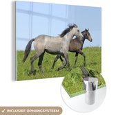 MuchoWow® Glasschilderij 180x120 cm - Schilderij glas - Paarden - Dieren - Gras - Foto op acrylglas - Schilderijen