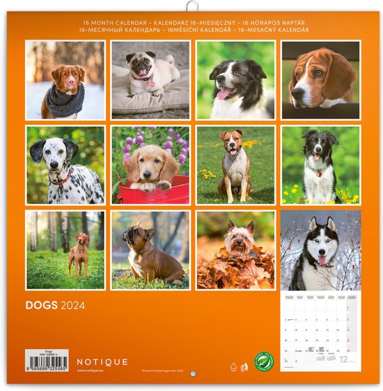 Dogs Kalender 2024