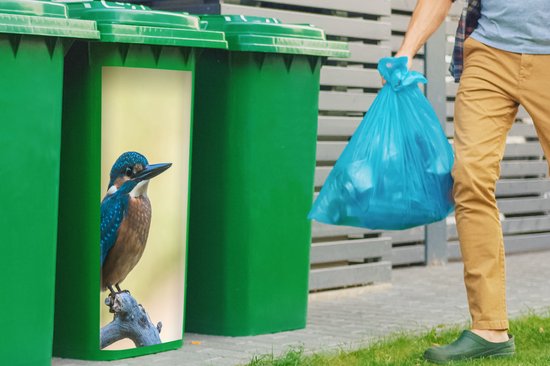 Container sticker IJsvogel - Tak - Vogel - 44x98 cm - Kliko sticker