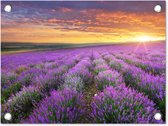Tuinposter - Bloemen - Lavendel - Zon - Tuindecoratie - 40x30 cm - Tuinschilderij - Schuttingposter - Tuindoek - Buitenposter