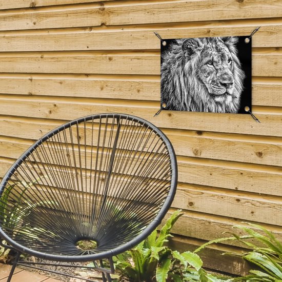 Affiche de jardin Lion en hiver 60x40 cm - Photo sur affiche de jardin / Peintures pour l'extérieur (décoration de jardin)
