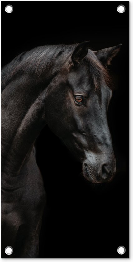 Tuinposter Paard - Dieren - Zwart - Portret - 30x60 cm - Tuindoek - Buitenposter