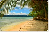 Poster Plage et palmiers aux îles San Blas près de Panama Garden 90x60 cm - Toile de jardin / Toile d'extérieur / Peintures pour l'extérieur (décoration de jardin)