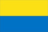 Vlag gemeente Bodegraven-Reeuwijk 200x300 cm