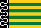 Vlag gemeente De Wolden 100x150 cm