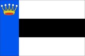 Vlag gemeente Heerenveen 200x300 cm