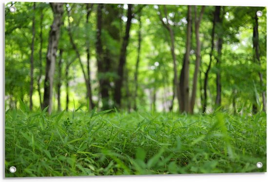 Tuinposter – Groen Grasveld in de Bossen - 90x60cm Foto op Tuinposter  (wanddecoratie voor buiten en binnen)