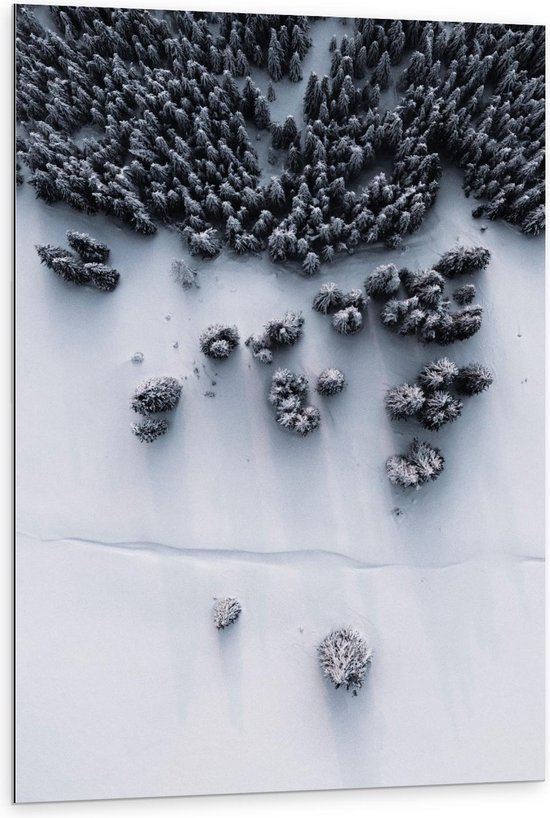 Dibond - Bovenaanzicht van Besneeuwd Bosgebied - 80x120cm Foto op Aluminium (Wanddecoratie van metaal)