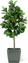 Kunstplant Fiddle Leaf Tree 150 cm