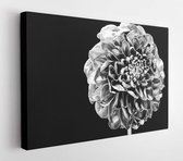 Stylish bouquet. Botany concept. Beautiful silver flowers. Floral shop. Metallic steel or golden color. Metal flowers. Eternal beauty. Fashion and beauty. Flowers covered metallic