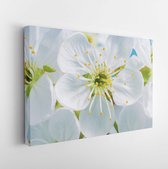 Onlinecanvas - Schilderij - Flowers Cherry Flowering Against The Background Flowers Art Horizontal Horizontal - Multicolor - 40 X 50 Cm