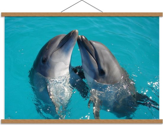 Schoolplaat – Twee Dolfijnen die Elkaar Kussen - 90x60cm Foto op Textielposter (Wanddecoratie op Schoolplaat)