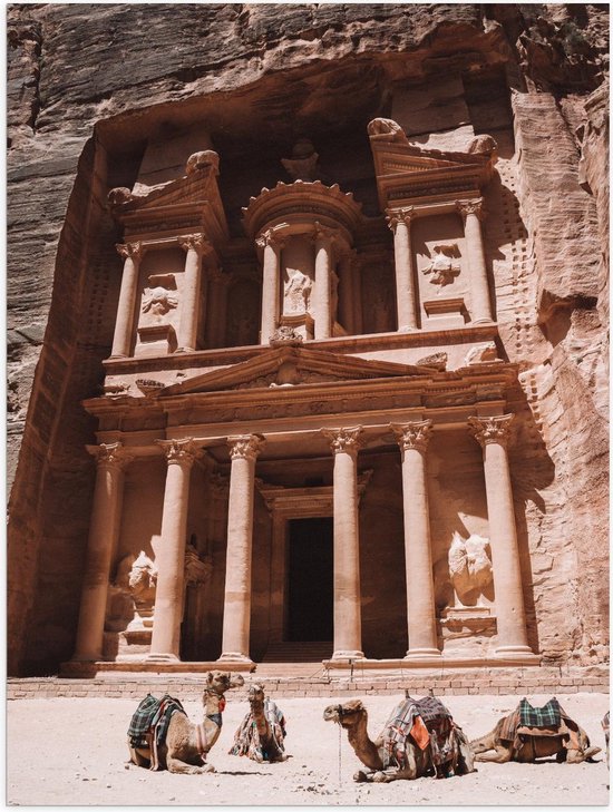 Poster – Kamelen bij Petra - Jordanië - 30x40cm Foto op Posterpapier