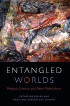 Transdisciplinary Theological Colloquia - Entangled Worlds