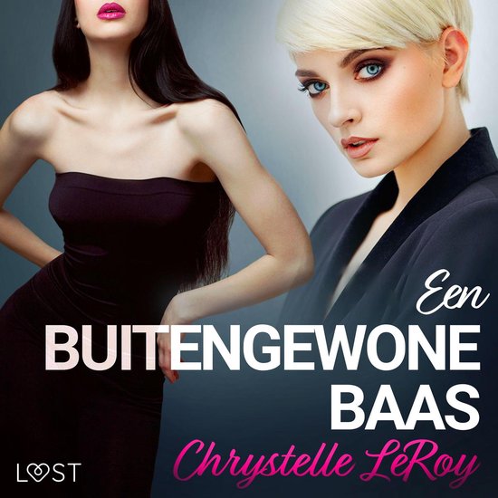 Een buitengewone baas - erotisch verhaal - cover