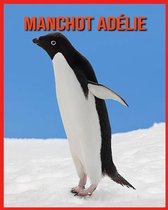 Manchot Adelie