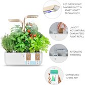 Véritable® GARDEN CONNECT - met APP en ADAPT’LIGHT LED technologie - Keuken binnenmoestuin, inclusief 4 Lingots® kruiden navulling - MOONLIGHT GOLD