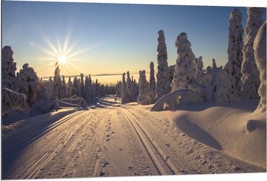 Dibond - Weg Bedekt met Sneeuw in Finland - 120x80cm Foto op Aluminium (Wanddecoratie van metaal)