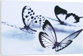 Acrylglas - Doorzichtige Vlinders - 120x80cm Foto op Acrylglas (Met Ophangsysteem)