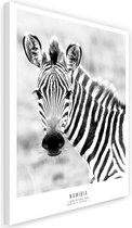 Schilderij Nieuwsgierige zebra, 2 maten, zwart-wit (wanddecoratie)