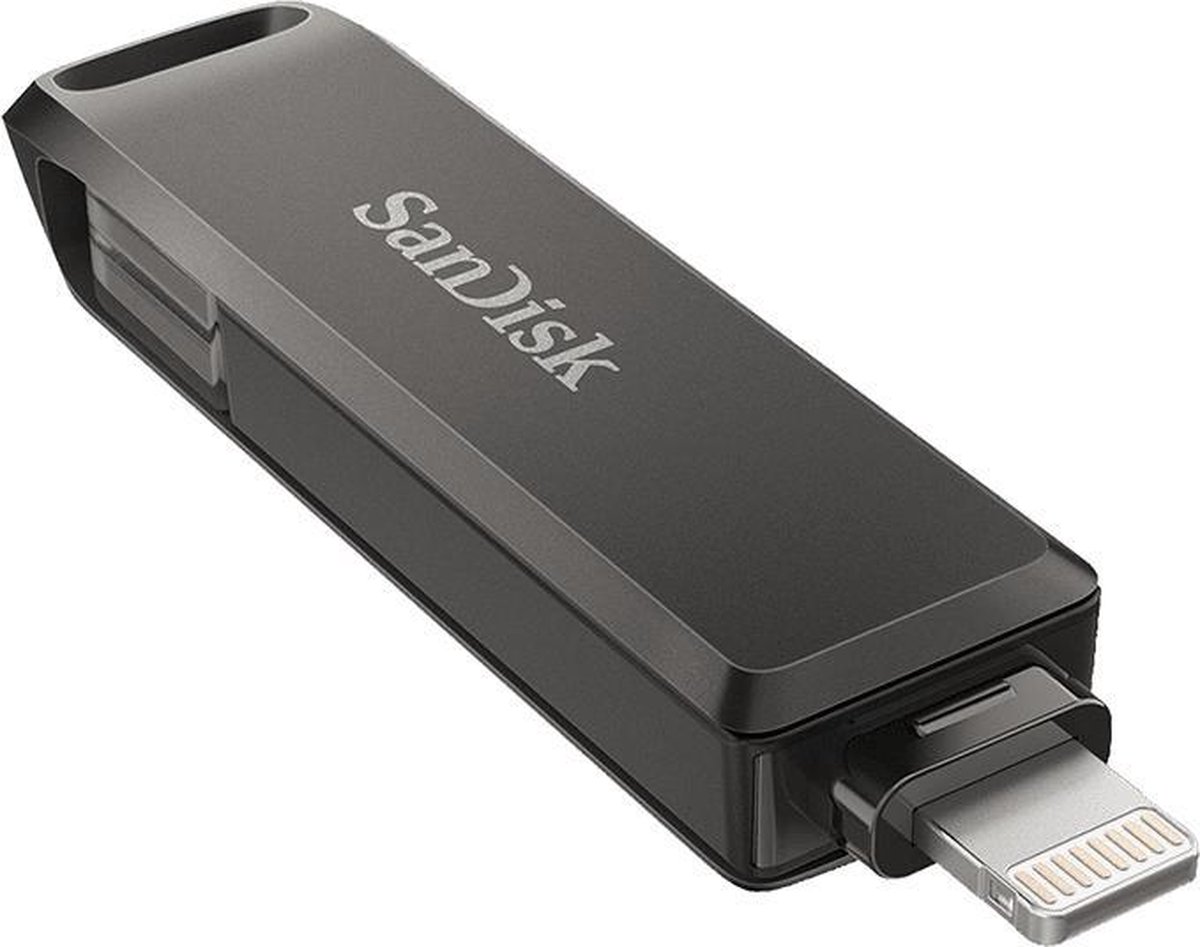 SanDisk iXpand lecteur USB flash 256 Go USB Type-C / Lightning 3.2 Gen 1  (3.1 Gen 1) Noir