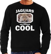 Dieren jaguars sweater zwart heren - jaguars are serious cool trui - cadeau sweater jaguar/ jaguars liefhebber S