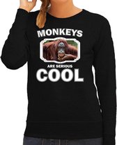 Dieren apen sweater zwart dames - monkeys are serious cool trui - cadeau sweater gekke orangoetan / apen liefhebber L