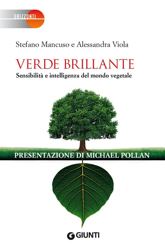 Boekomslag met een grote groene boom boven een grote groene bladader. Titel: VERDE BRILLANTE.