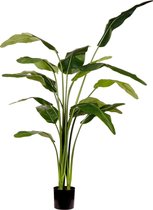 Kunstplant Strelitzia Deluxe 180 cm