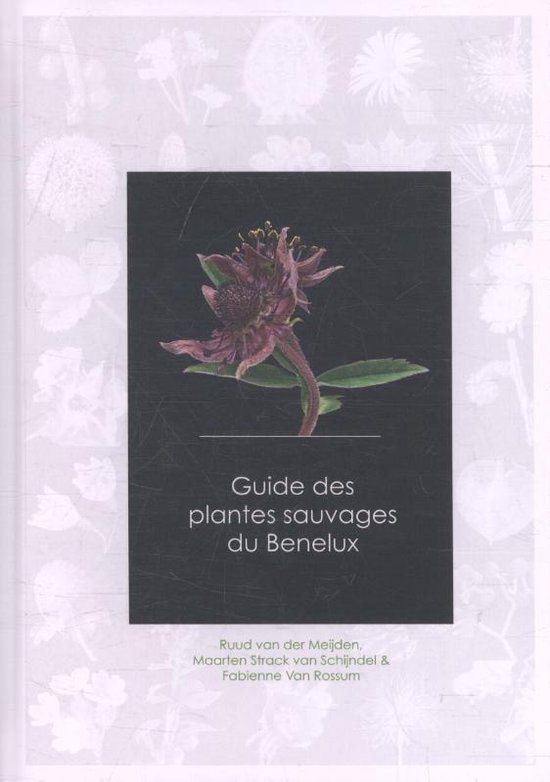 Couverture de "Guide des plantes sauvages du Benelux" avec une fleur violette.