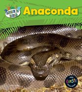 Dieren in beeld - Anaconda