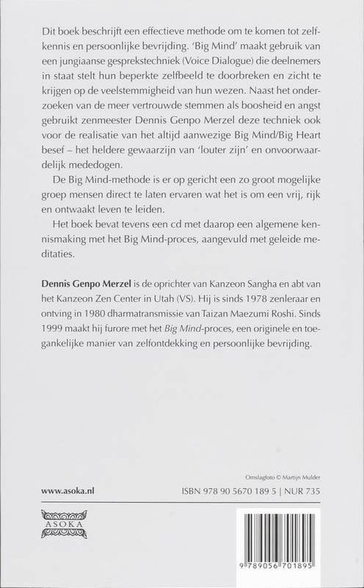 Big Mind