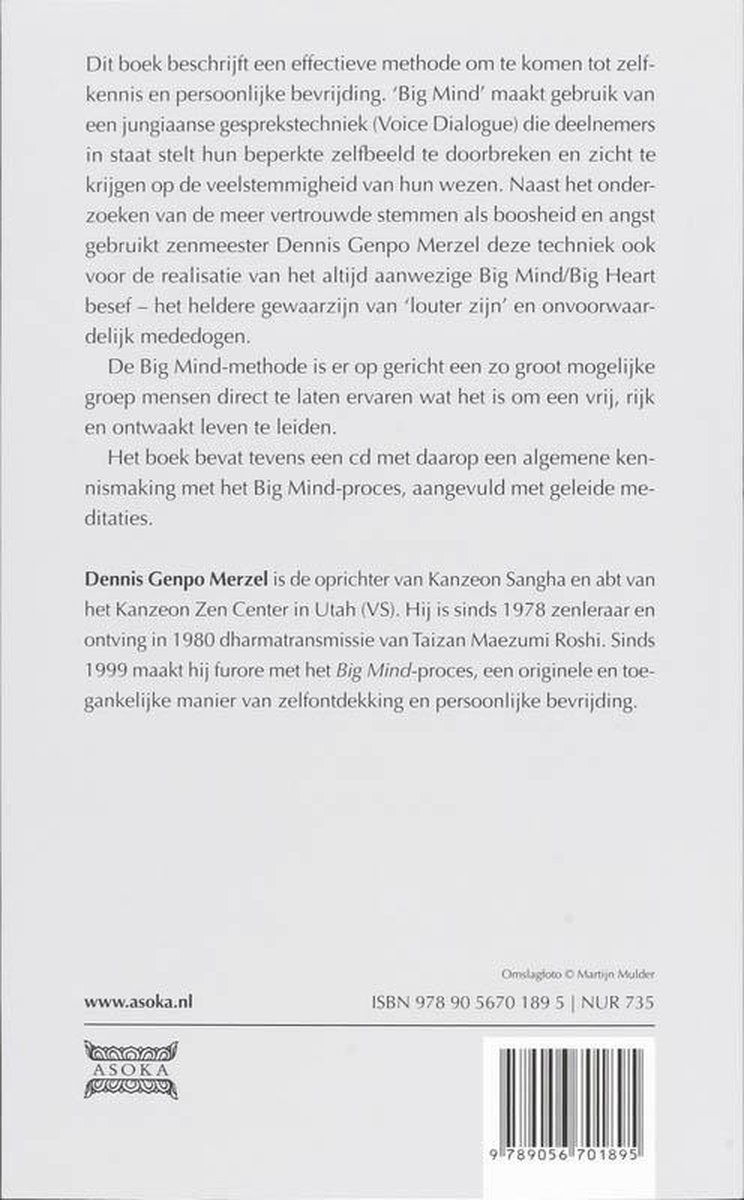 Big Mind - back cover